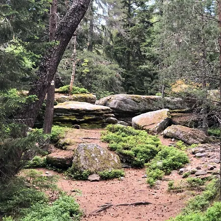 Bed & Breakfast La Maison De Juliette Saint-Hippolyte (Haut-Rhin)