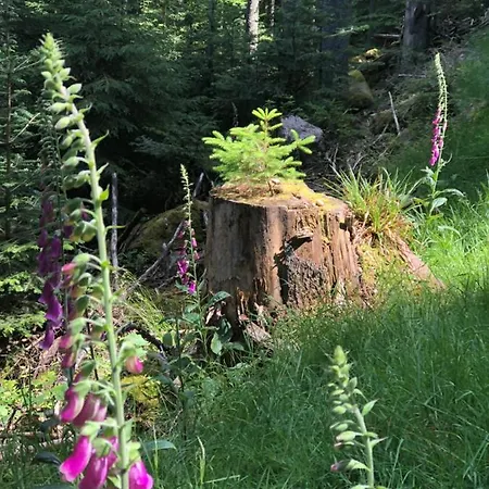 Bed & Breakfast La Maison De Juliette Saint-Hippolyte (Haut-Rhin)