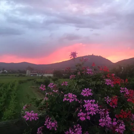 La Maison De Juliette Bed & Breakfast Saint-Hippolyte (Haut-Rhin)